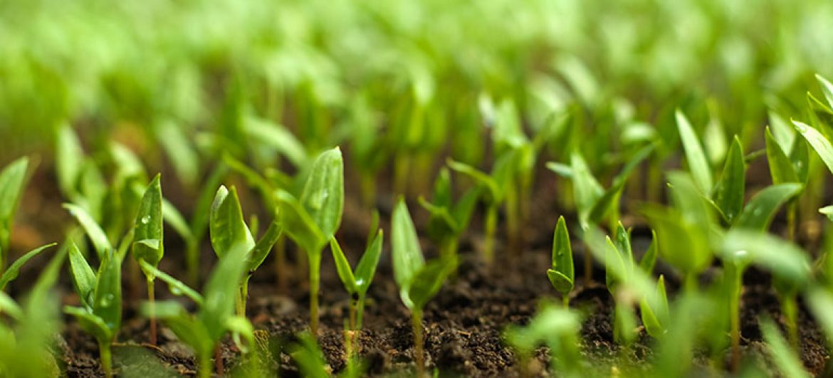 Η ΝΕΑ ΔΡΑΣΗ ΓΙΑ ΤΗ ΜΕΤΑΠΟΙΗΣΗ: Επιδότηση έως 50% σε παράγωγα αγροτικών προϊόντων